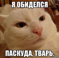 Я обиделся Паскуда, Тварь.