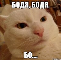 Бодя, Бодя, Бо....
