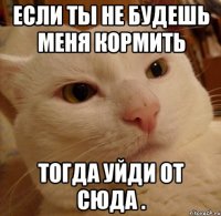 Если ты не будешь меня кормить Тогда уйди от сюда .