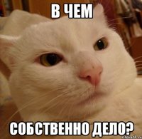В чем собственно дело?