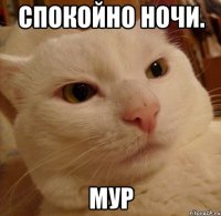 Спокойно ночи. мур