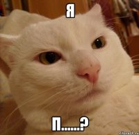 я п......?
