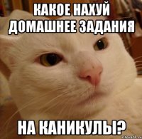 Какое нахуй Домашнее задания На каникулы?