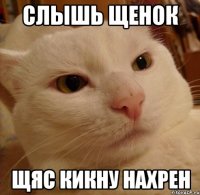 СЛЫШЬ ЩЕНОК ЩЯС КИКНУ НАХРЕН