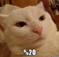  %20