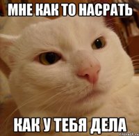 Мне как то насрать как у тебя дела
