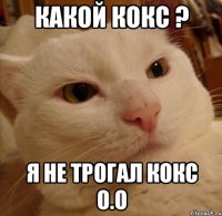 КАКОЙ КОКС ? Я НЕ ТРОГАЛ КОКС О.О