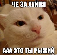 че за хуйня ааа это ты рыжий