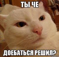 Ты че доебаться решил?