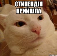 Стипендія прийшла 