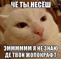 чё ты несёш эмммммм я не знаю де твой жопокрафт
