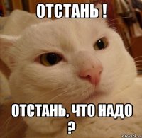 отстань ! отстань, что надо ?