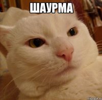 шаурма 
