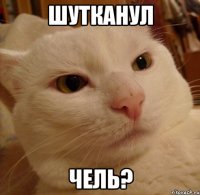 шутканул чель?