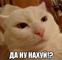  да ну нахуй!?