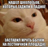 нашел школоёбов, которые гадили в падике заставил жрать бычки на лестничной площадке