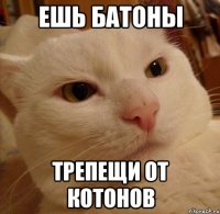 Ешь батоны Трепещи от котонов