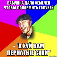 БАБУШКА ДАЛА СЕМЕЧЕК ЧТОБЫ ПОКОРМИТЬ ГОЛУБЕЙ - "А ХУЙ ВАМ ПЕРНАТЫЕ СУКИ"