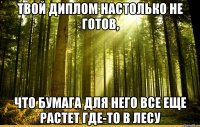 ТВОЙ ДИПЛОМ НАСТОЛЬКО НЕ ГОТОВ, ЧТО БУМАГА ДЛЯ НЕГО ВСЕ ЕЩЕ РАСТЕТ ГДЕ-ТО В ЛЕСУ