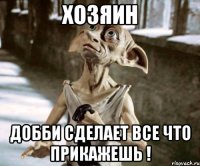 Хозяин Добби сделает все что прикажешь !