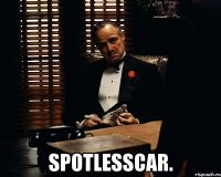  SpotlessCar.