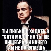 Ты любишь ходить в "сити молл" но ты же нищеброд и ничего там не покупаешь