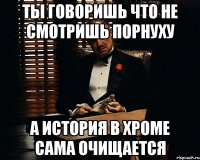 Ты говоришь что не смотришь порнуху А история в хроме сама очищается