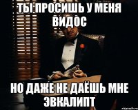 ты просишь у меня видос но даже не даёшь мне эвкалипт