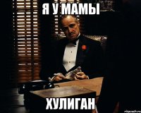 Я у мамы Хулиган