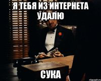 я тебя из интернета удалю сука