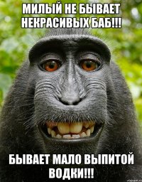 МИЛЫЙ НЕ БЫВАЕТ НЕКРАСИВЫХ БАБ!!! БЫВАЕТ МАЛО ВЫПИТОЙ ВОДКИ!!!