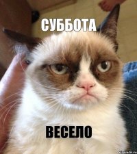 Суббота весело