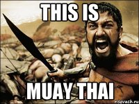 this is muay thai