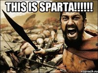 THIS IS SPARTA!!!!!! 