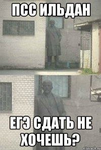 Псс ильдан ЕГЭ сдать не хочешь?