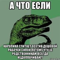 А ЧТО ЕСЛИ КАРОЛИНА СЧИТАЕТ ОСЕТИН ДЕШЁВОЙ РАБОЧЕЙ СИЛОЙ ПОТОМУ ЧТО ЕЁ РОДСТВЕННИКАМ ВСЕГДА НЕДОПЛАЧИВАЮТ