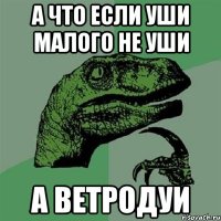 А что если уши малого не уши а ветродуи