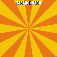 Узбакоилася 