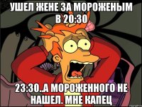 ушел жене за мороженым в 20:30 23:30..а мороженного не нашел. Мне капец