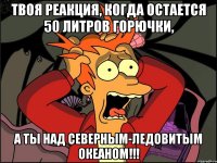 Твоя реакция, когда остается 50 литров горючки, А ТЫ НАД СЕВЕРНЫМ-ЛЕДОВИТЫМ ОКЕАНОМ!!!