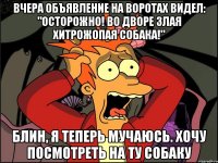 ВЧЕРА ОБЪЯВЛЕНИЕ НА ВОРОТАХ ВИДЕЛ: "ОСТОРОЖНО! ВО ДВОРЕ ЗЛАЯ ХИТРОЖОПАЯ СОБАКА!" БЛИН, Я ТЕПЕРЬ МУЧАЮСЬ. ХОЧУ ПОСМОТРЕТЬ НА ТУ СОБАКУ