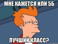 МНЕ КАЖЕТСЯ ИЛИ 5б ЛУЧШИЙ КЛАСС?