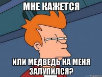 Мне кажется Или медведь на меня залупился?