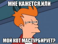 мне кажется,или мой кот мастурбирует?
