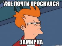 Уже почти проснулся Замирка