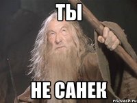 ТЫ не санек