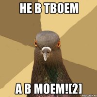 Не в твоем а в моем![2]