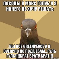 Посоны я МАКС ГОЛУБ и я ничего не хочу решать вы все GREENPEACE а я OVERPRO по подъёбам...гуль гуль!!!!брат брату брат!!!