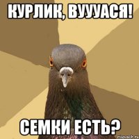 Курлик, Вуууася! семки есть?