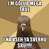 i'm golub mega true i na vseh ya sverhu sru!!!!